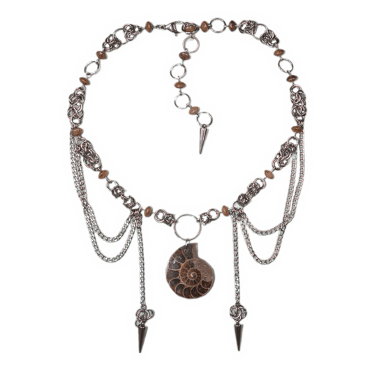 ammonite
